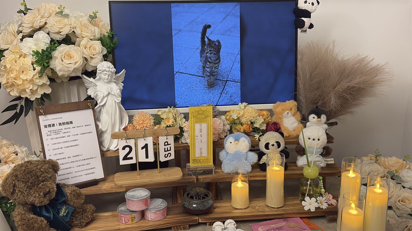节日期间宠物殡葬服务安排：北京春节与清明假期指南